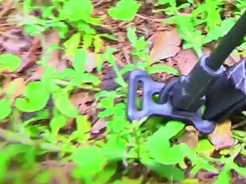 Crazy Maze