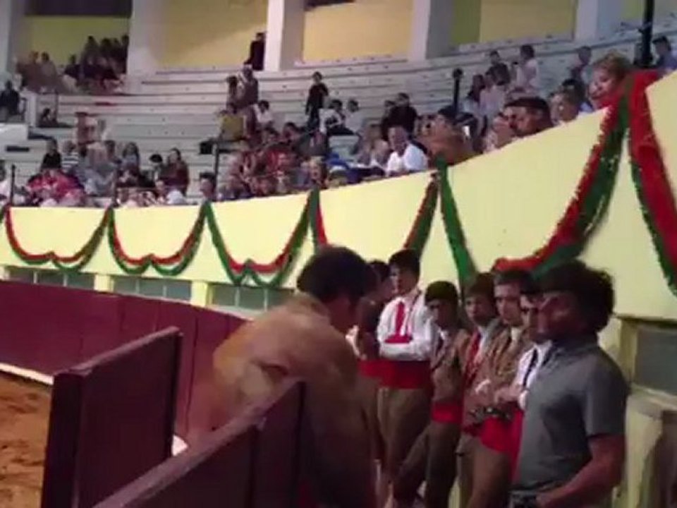 PEDRO LOJA CALDEIRA DO APOSENTO DA CHAMUSCA PEGA NOVILHO DE VALDETERAZO EM ALBUFEIRA.