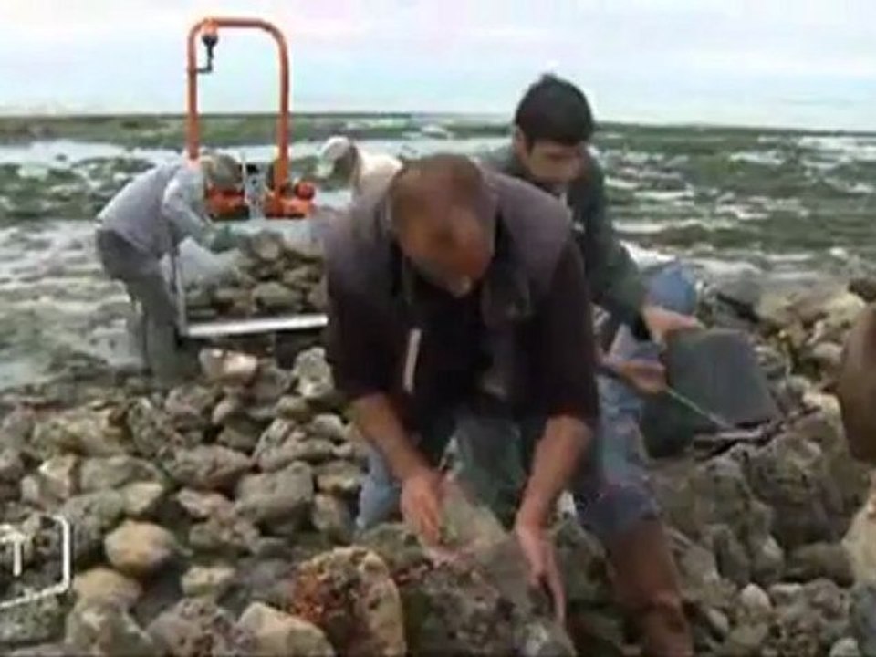 Le retour des écluses à poissons (La Tranche-sur-Mer)
