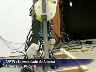 Futuro a poucos passos