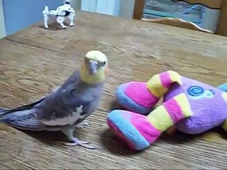 Piou Piou
