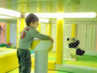 Eating Stinky Tofu and Seagull POOP