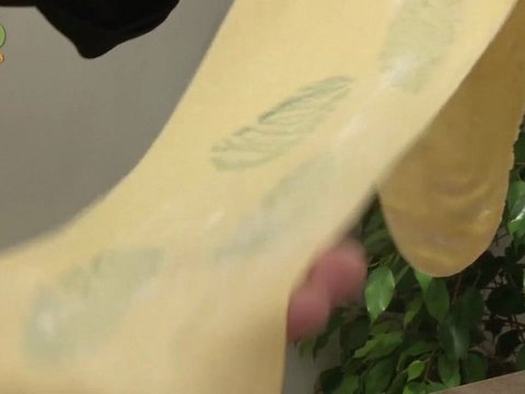 Réaliser des pâtes imprimées - 750 Grammes