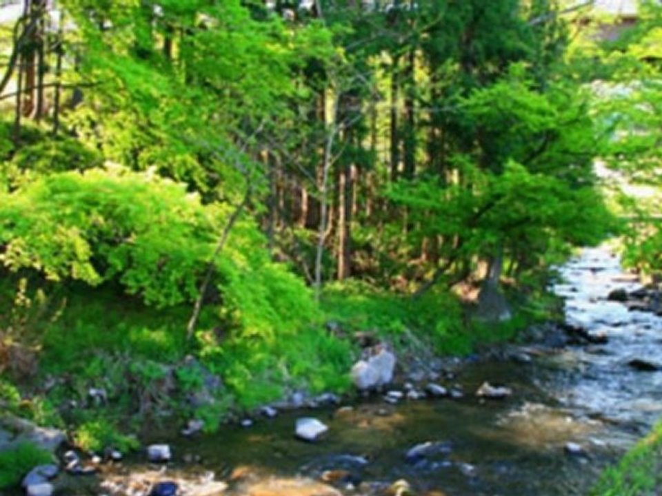 yu-yu~ふるさと♪春の小川♪
