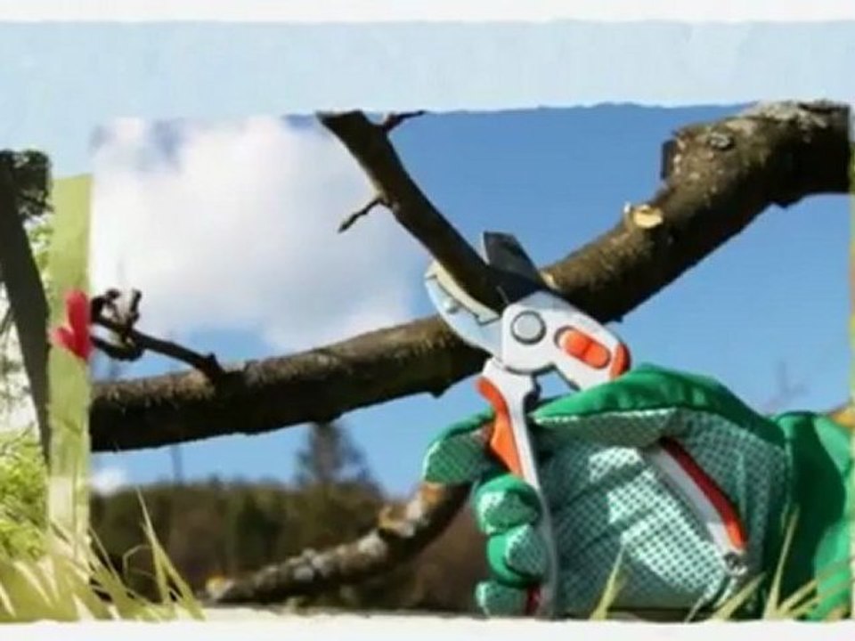 AAA Sherman Oaks Tree Service (818) 986-3426