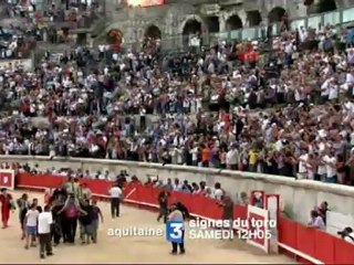 SIGNES DU TORO - L'ACTU DE L'ÉTÉ