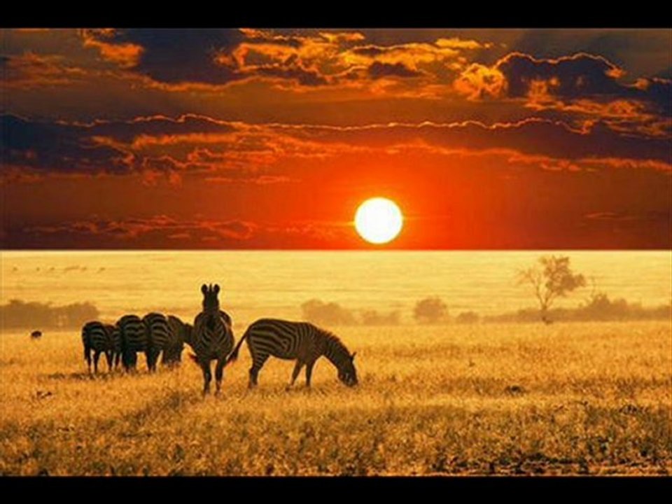 Toshiba 32C120U Original Remote Control