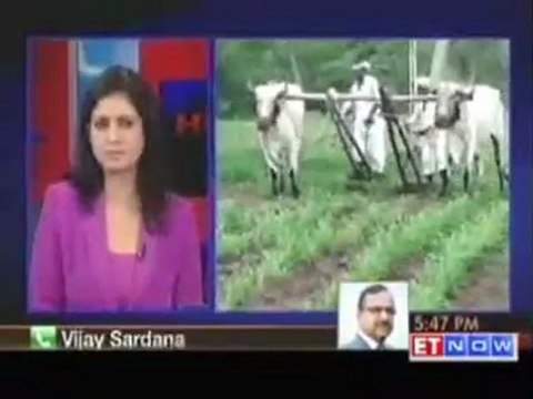 Monsoon woes: Agro commodity outlook by experts