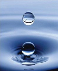 3 Les Règles De La Purification Et De La Prière  2.2