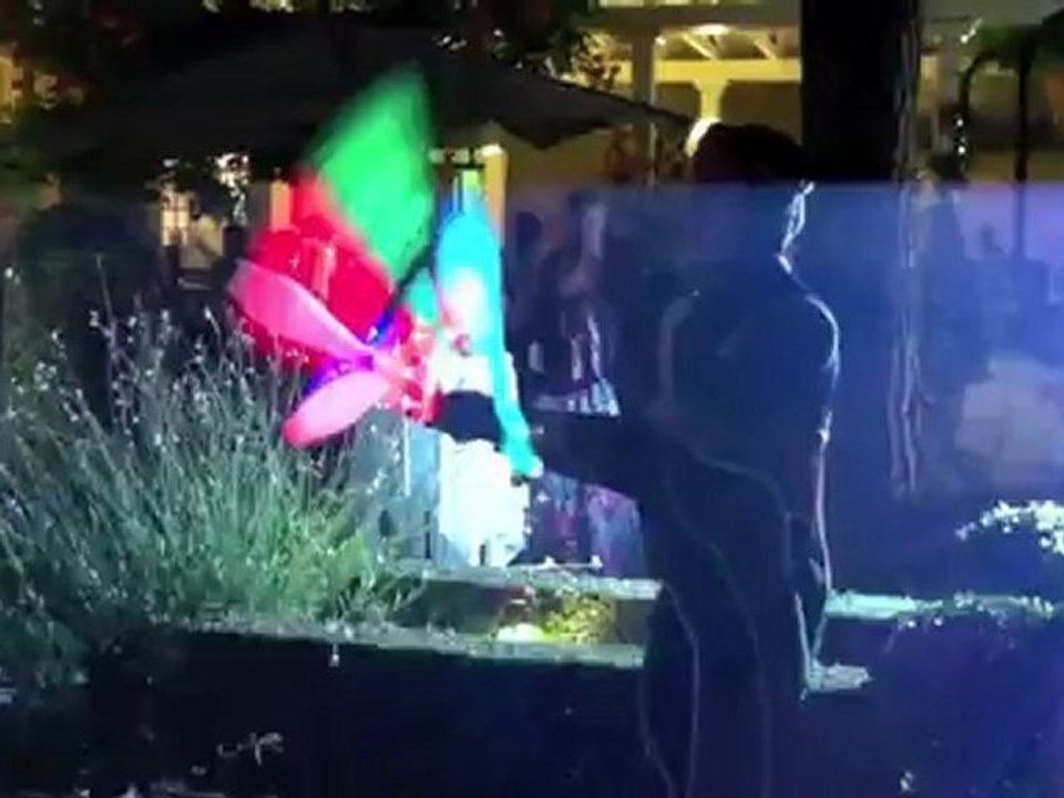show light spectacle lumineux jongleur echassier