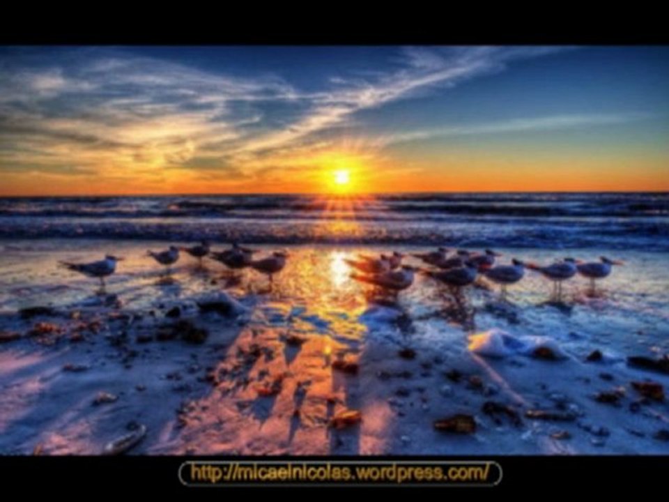 Formatia Anton Pann - Kalofonika