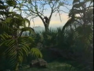 El origen de la Tierra (12): El proceso de hominizacion (desde 1,5 millones de años a la actualidad)