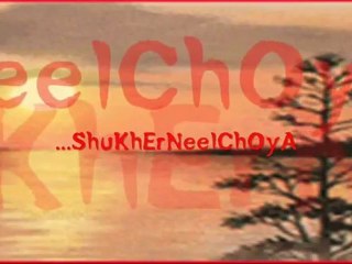 Ustad Niaz Mohammad Chawdhury- Az Ei Brishtir Kanna Dekhe