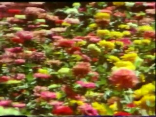 Avitoga Undhi - ANR Super Hits