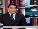 Activistas protestan contra caza de ballenas
