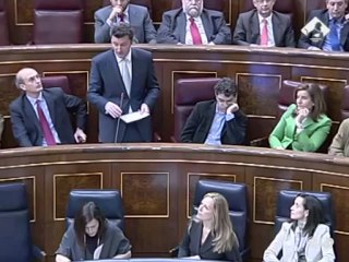 Trinidad Jiménez defiende su actuación en la crisis porcina