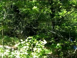 Il faisait beau ce jour-là