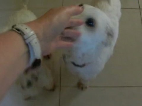 jeux avec les 3 potes