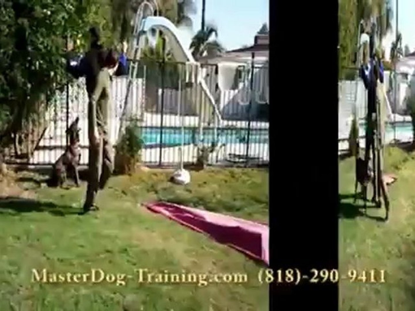 ⁣Protection Dog Training  -  Security Dog Training - K9 Dog Training