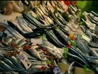 İzmir Tatil Rehberi