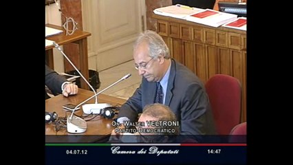 Roma - L'audizione di Caracciolo e Roy (04.07.12)