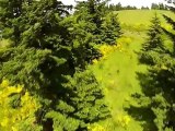 Horse Property in Newberg / Oregon land for sale and real estate