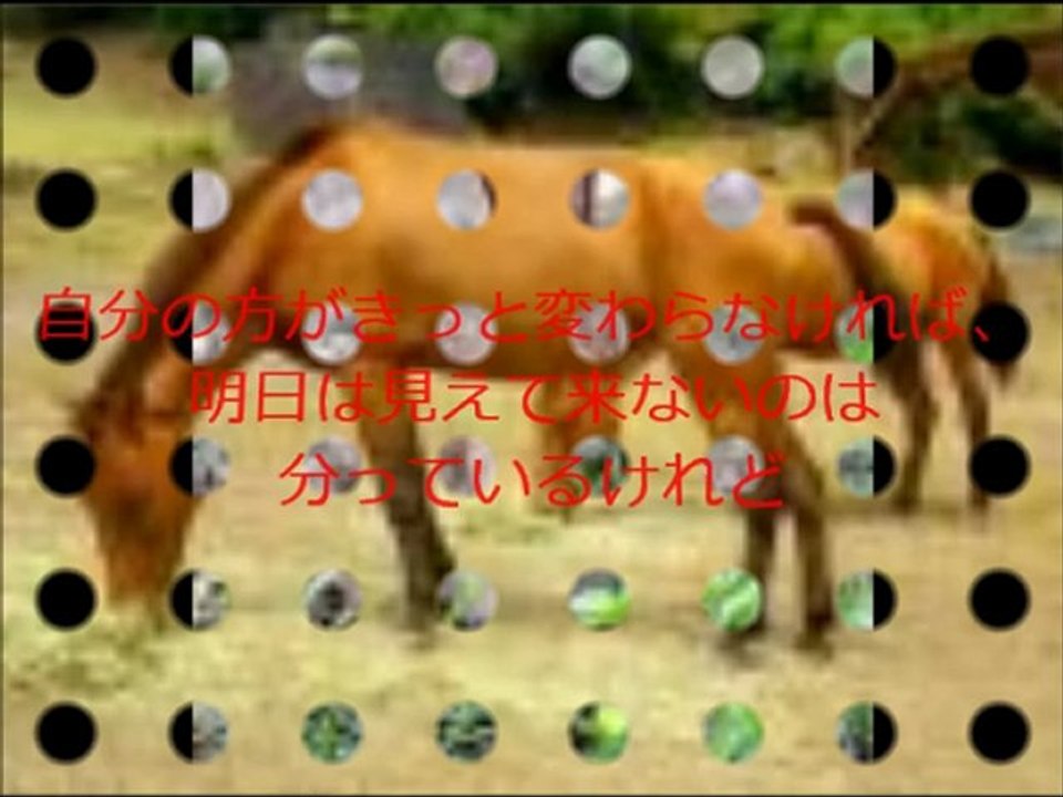 いのち　partⅡ