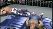 CGRundertow WCW / NWO REVENGE for Nintendo 64 Video Game Review