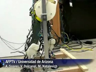 Piernas mecánicas imitan humanos