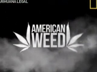 [Natgeo] Marihuana Legal 01 - El Drama de la Marihuana