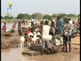 TCHAD : BATHA ET RELIEF DU VENDREDI 06 JUILLET 2012 SUR TOL