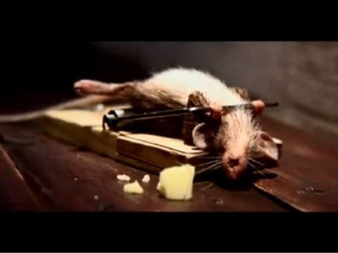 Никогда не сдавайся!!!