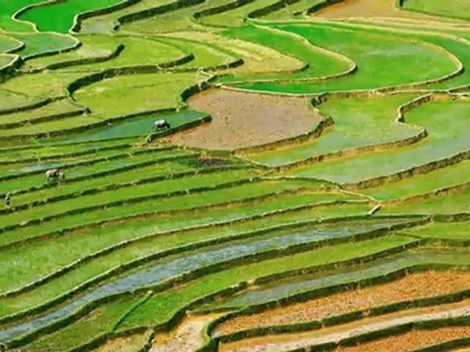 J'aime le Vietnam 1