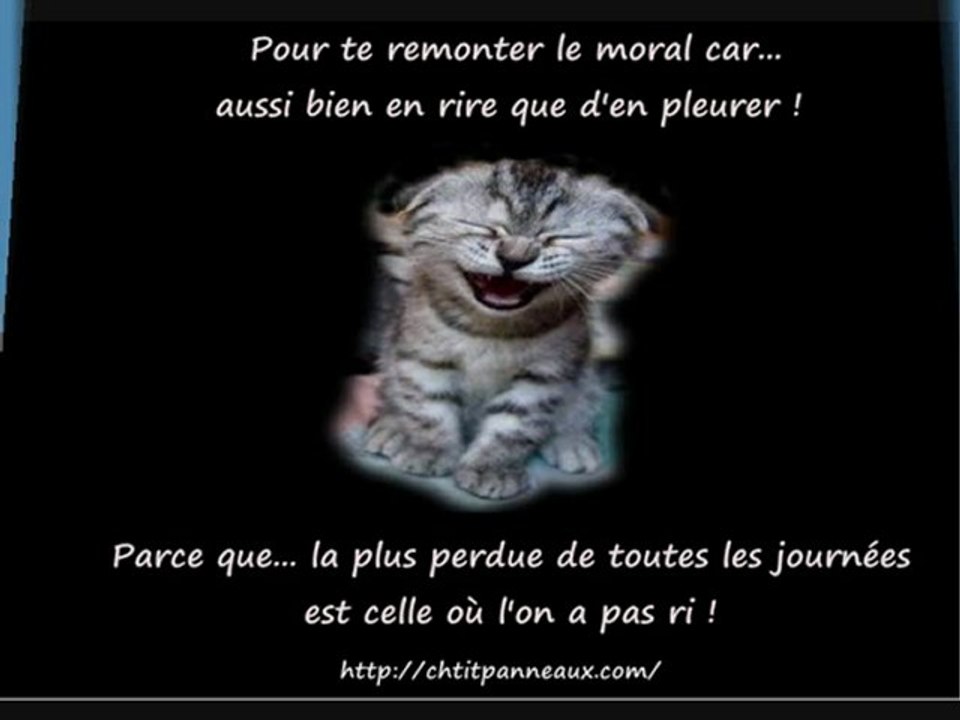 Sur chtit panneaux interdit de faire la gueule