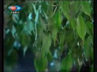 Esat Kabaklı   " Dağlarına Kar Olurum "