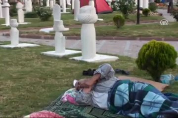 Onların güreş sevgisi bir başka