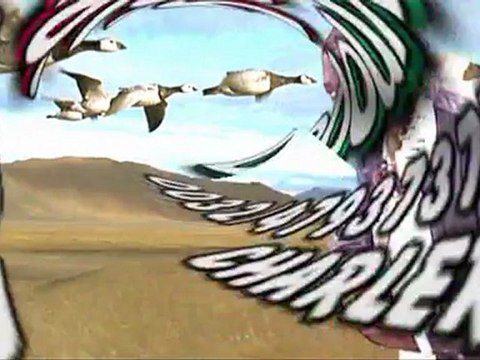 Figon Tralala, Jocelyne Biz-ar & Ledoux paradis sèment la terreur à Charleroi (Noah) Télé SPI