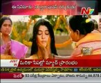 Box Office - Tollywood Latest Film News - 02nd Mar 12 - 01