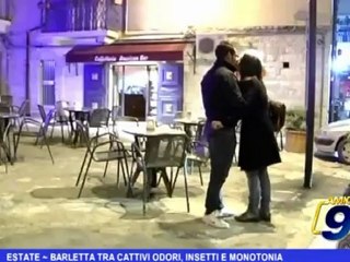 Estate | Barletta tra cattivi odori, insetti e monotoni