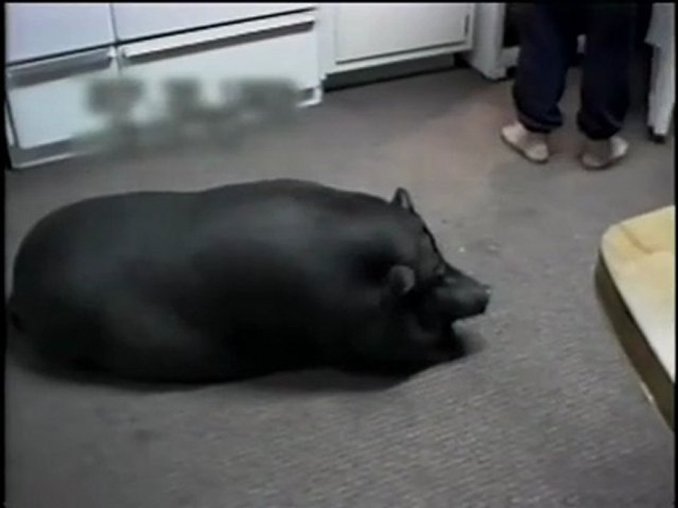 百度视频搜索(3).