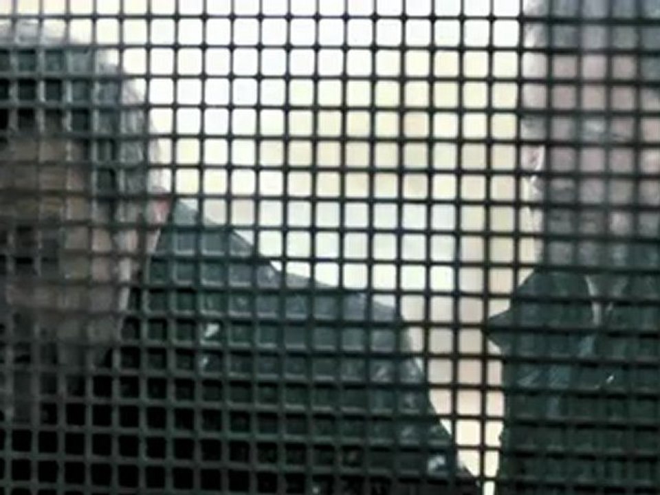 Schutzengel - Trailer (Deutsch)