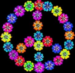 dj sam x (mégane studio) disco fusion