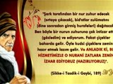 Bediuzzaman Said Nursi Hazretleri'nin, Hz. Mehdi (as) hakkindaki gorusleri, Hz. Mehdi Bediuzzaman'dan sonra gelecektir