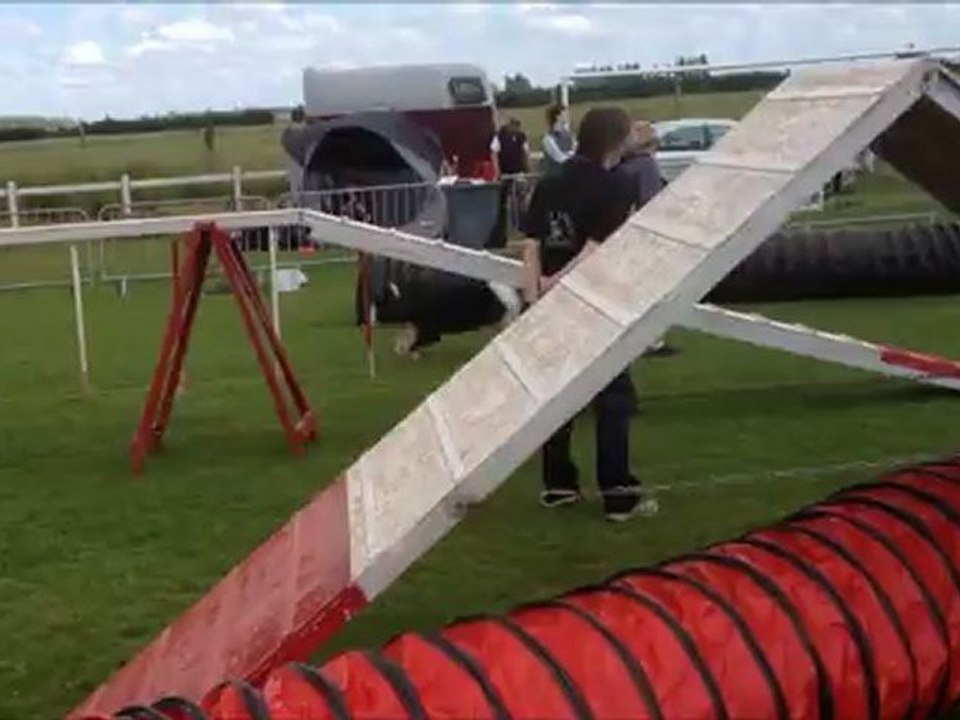 dory agility