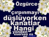 ᏊᏩйᏝᏊö௱rй௱duvarları sabırdan yürek yıkılmaz kale,hangi yönden esersen es deli rüzgar