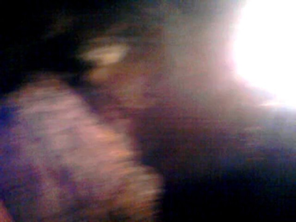 Grottes de St Cézaire (2010)