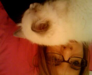 Hope pas pot de colle pour un poil