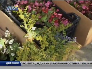 Dnevnik, 07 jul 2012.