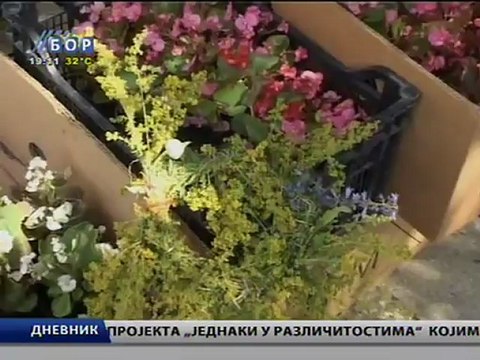 Dnevnik, 07 jul 2012.