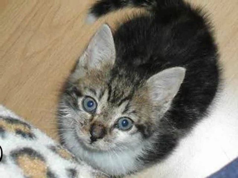 ~ Wir suchen "unseren" Menschen ~